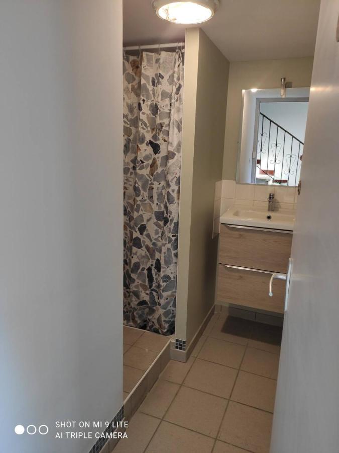 La Cahute, Appartement T2 Avec Jardin Ou Appartement Familial T6 Montauban Bagian luar foto