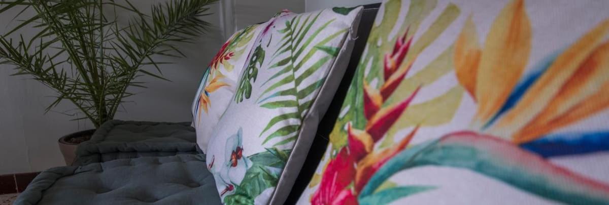 La Cahute, Appartement T2 Avec Jardin Ou Appartement Familial T6 Montauban Bagian luar foto
